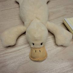 Knuffelspeeltje Jaune, zoals gemeld door IKEA Montpellier met iLost