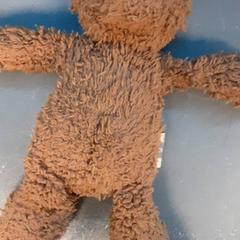 Kosete leke, som rapportert av Diergaarde Blijdorp ved bruk av iLost