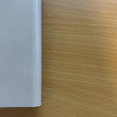 Powerbank, gemeldet von Rotterdam Ahoy über iLost