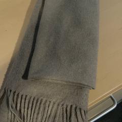 숄 Bruin, iLost를 사용하여 Jaarbeurs에 보고됨