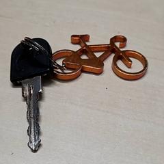 Nøkkel, som rapportert av Arriva Oost-Brabant ved bruk av iLost