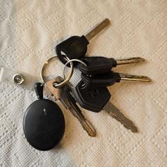 Keys, Sleutelbos, jak bylo nahlášeno na iLost