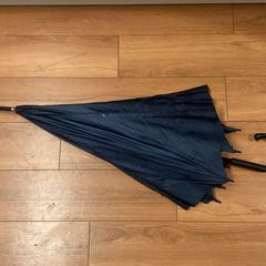 Deštník Blauw - 071225 MAN, jak nahlášeno Ziggo Dome pomocí iLost