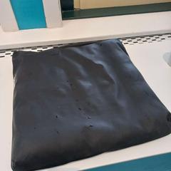 Pillow, as reported by Arriva Limburg Zuid using iLost