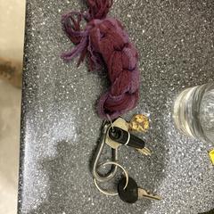 Sleutels, jak zgłoszono do iLost