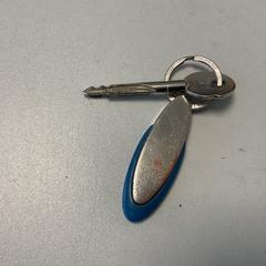 Clau met hanger, segons ha informat Breng Arnhem mitjançant iLost