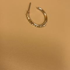 Náušnica oortbel, ako bolo nahlásené Pathé Schiedam pomocou iLost