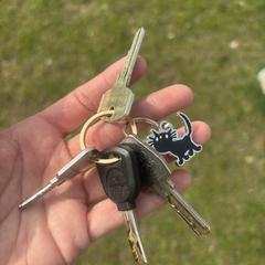 Sleutelbos, iLost에 보고됨