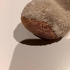 Knuffel, som rapportert av De Efteling ved bruk av iLost