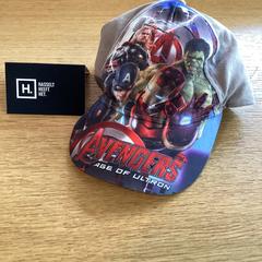 İLost kullanarak Stad Hasselt tarafından bildirildiği gibi Beyzbol şapkası Pet Avengers