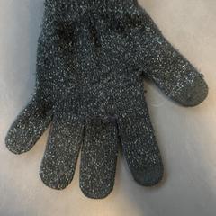 Kesztyű Zwart met zilveren glitters, amint azt Burgers' Zoo az iLost segítségével jelentette.