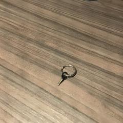 Kľúč, ako bolo nahlásené Van der Valk Hotel Zwolle pomocou iLost