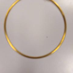 Ohrring Goudkleurige, gemeldet von Vrije Universiteit Amsterdam über iLost