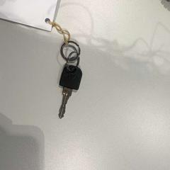 Fietssleutel, zoals gemeld door Gebo Tours met iLost