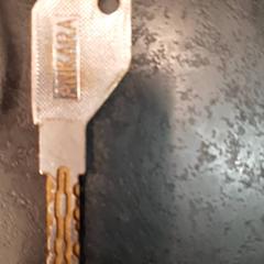 Schlüssel, gemeldet von Rotterdam The Hague Airport über iLost