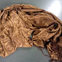 Schal Bruin, gemeldet von Breng Nijmegen über iLost