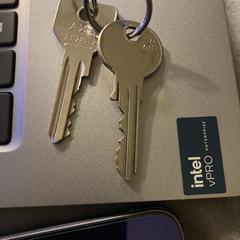 2 sleutels, as reported to iLost