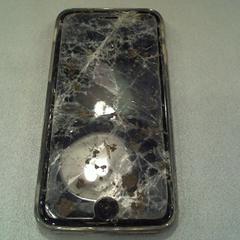 IPhone, as reported by Walibi Holland using iLost