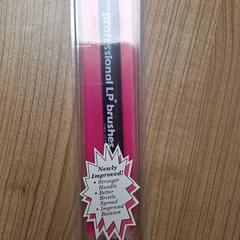 Borstels, iLost를 사용하여 Transdev Gooi en Vechtstreek에 보고됨