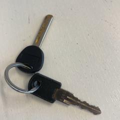 Llave, ha sido reportado por GVB con iLost