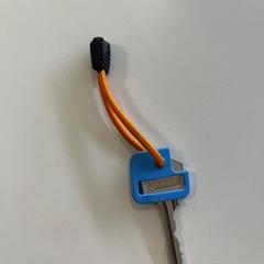 Chave met oranje koord, como reportado por Gemeente Ede utilizando o iLost