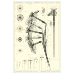 منتج ايكيا، كما تم الإبلاغ عنه بواسطة IKEA Sabadell عبر iLost