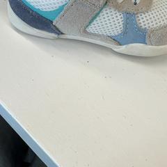 Chaussure, a été signalé par Het Amsterdamse Winterterras utilisant iLost