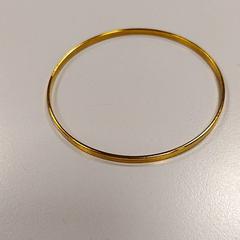 Armband, gemeldet von Vrije Universiteit Amsterdam über iLost