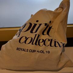 Torba, zgłoszono przez Arriva Limburg Zuid przy użyciu iLost