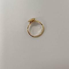 Goudkleurige ring goudkl., gemeldet von Heidelberglaan 15 über iLost