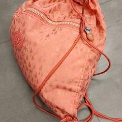 Gymnastics bag Roze, as reported by Regio Oost-Vlaanderen using iLost
