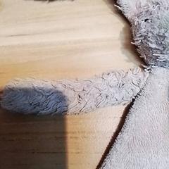 Knuffel Roze konijn, zoals gemeld door Beekse Bergen Resorts en Hotel met iLost