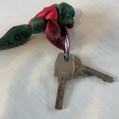 Nyckel, rapporterat av Madurodam med iLost