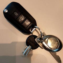 Chave, como reportado por LUMC utilizando o iLost