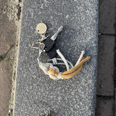 Sleutelbos a été signalé sur iLost