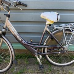 Vélo pour femme Grijs, a été signalé par Gemeente Oirschot utilisant iLost
