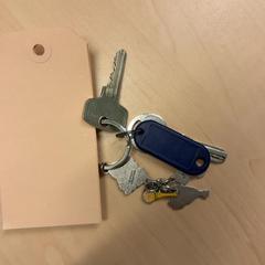 Gakoa, gisa salatu by RET iLost erabiliz