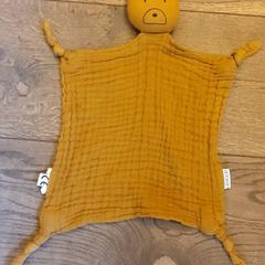 صفعة محبوبة Bruine beer، كما تم الإبلاغ عنه بواسطة DierenPark Amersfoort عبر iLost