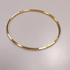 Armband, zoals gemeld door Vrije Universiteit Amsterdam met iLost