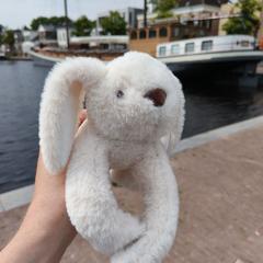 Knuffel, iLost에 보고됨