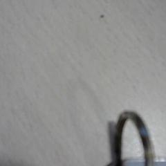 Nøkkelring, som rapportert av Walibi Holland ved bruk av iLost