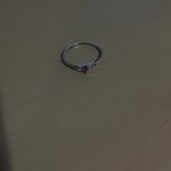 반지 Met steentje, iLost를 사용하여 Jaarbeurs에 보고됨