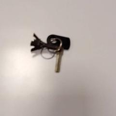 Kerékpár kulcs fietsale, amint azt Vrije Universiteit Amsterdam az iLost segítségével jelentette.