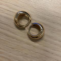 Boucles d'oreilles Goudkleurige ringen, a été signalé par Gemeente Arnhem utilisant iLost