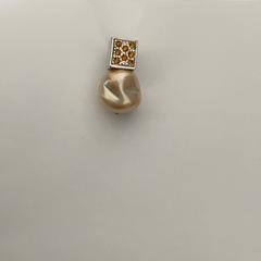 Kolczyk, zgłoszono przez Schönbrunn "Group Center" przy użyciu iLost