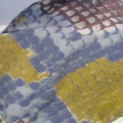 Halsband, gemeldet von Relais Azalys über iLost