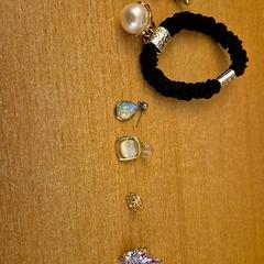 Polsera & Joieria (diverses), segons ha informat Mauritshuis Den Haag mitjançant iLost