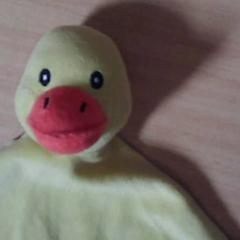 Plüss, amint azt Het Spoorwegmuseum az iLost segítségével jelentette.