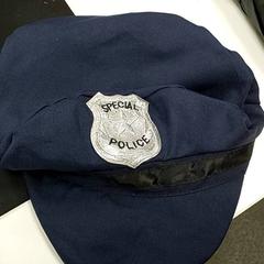 قبعة صغيرة، كما تم الإبلاغ عنه بواسطة Centraal magazijn عبر iLost