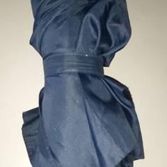 우산, iLost를 사용하여 Regio Antwerpen - Brussel에 보고됨